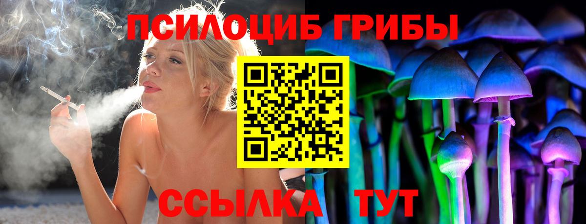 Псилоцибиновые грибы Psilocybine cubensis  Галлюциногенные грибы мицелий  Вход с VPN  Химки 