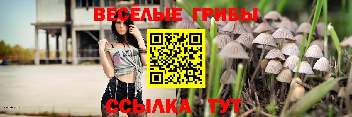 Галлюциногенные грибы Psilocybe Химки