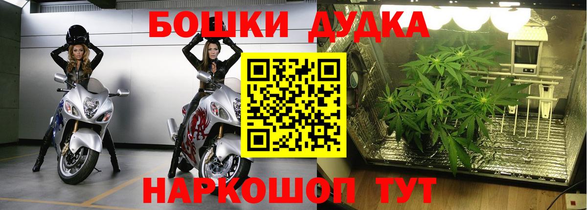 Бошки марихуана White Widow  Канабис White Widow  Бошки марихуана VHQ  Химки  Каннабис Ganja  Вход с VPN 